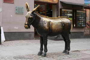 Opis alternatywny: